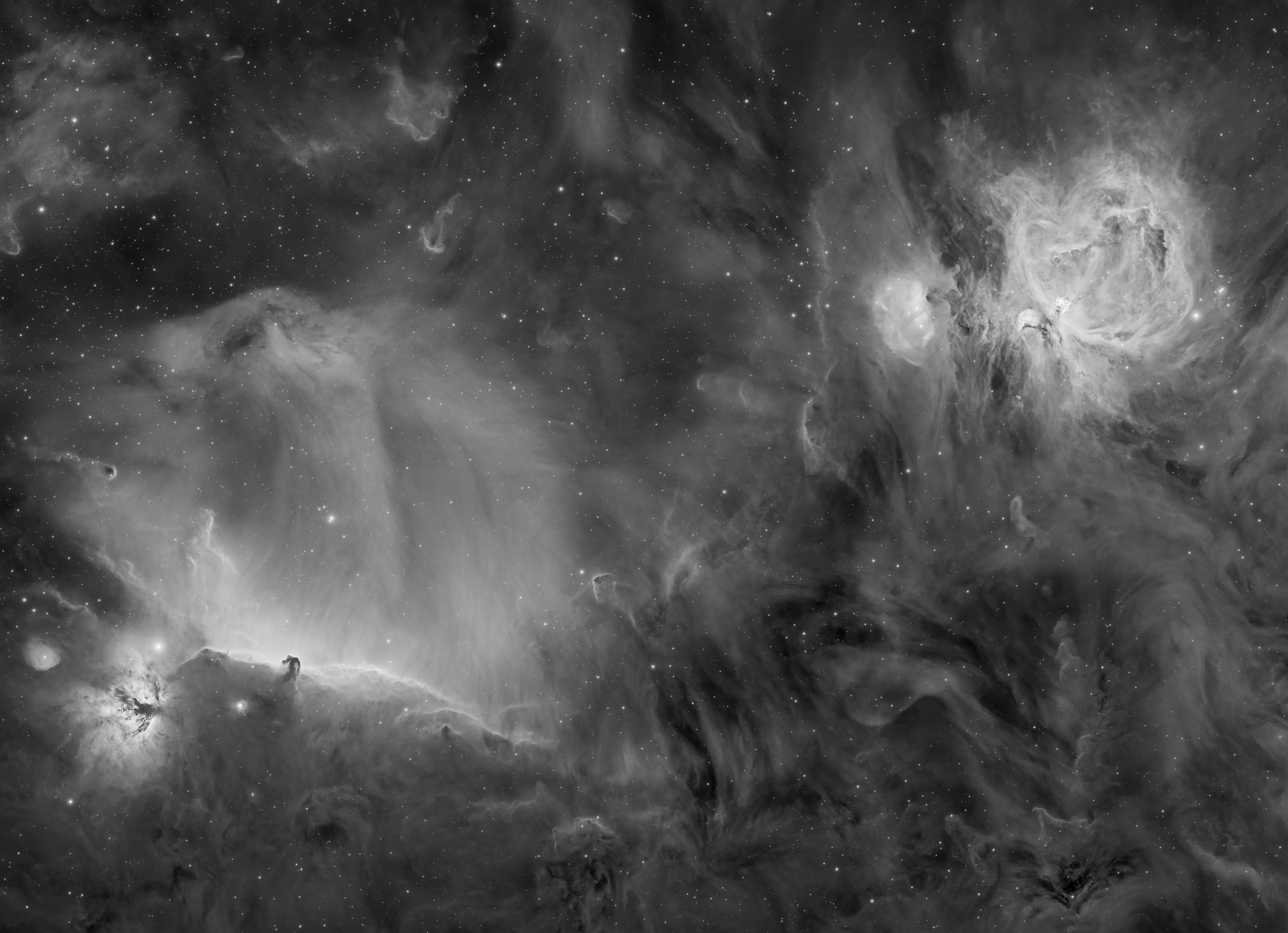 in a black and white imahe, the waves of drust and gas that make up the orion nebual are visible. Among them, there's the famous horsehead and the flame nebula.